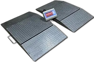 Авто елекронні ваги