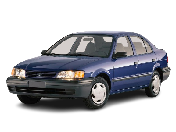 Tercel